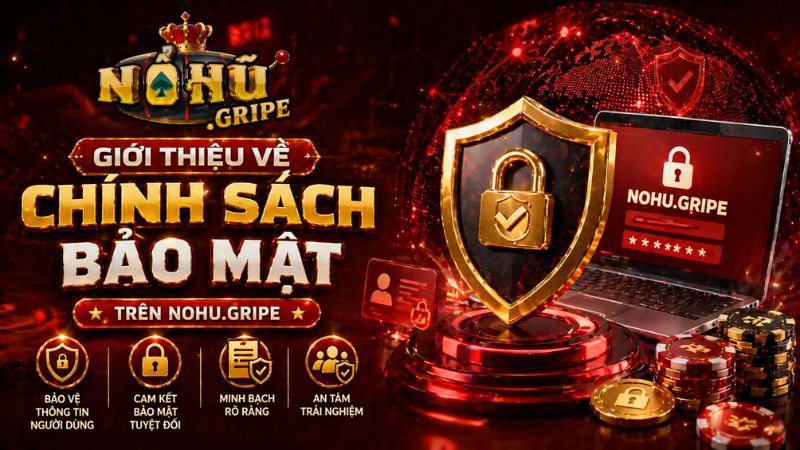 Giới thiệu về chính sách bảo mật trên Nohu.gripe