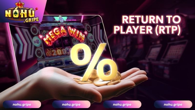 Những hiểu lầm phổ biến nhất của RTP là gì?